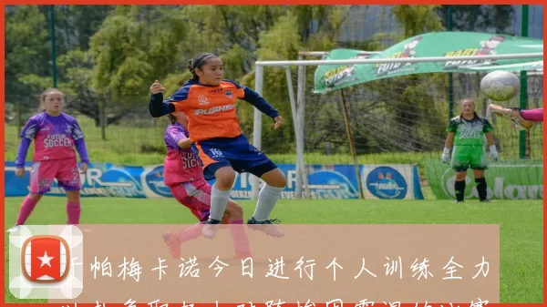 于帕梅卡诺今日进行个人训练全力以赴争取赶上对阵埃因霍温的比赛