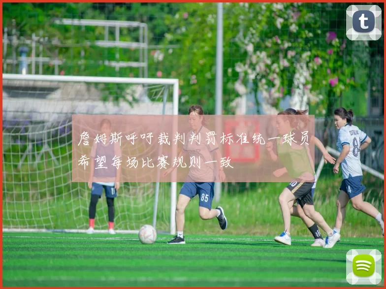 詹姆斯呼吁裁判判罚标准统一球员希望每场比赛规则一致